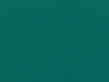 00006